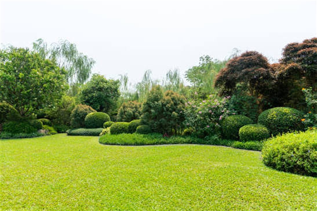 Garden services